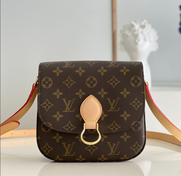 L0vis Vvtt0n Saint Cloud M51243 Bag