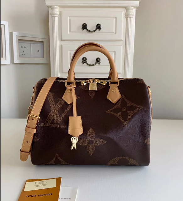 LV Speedy Handbag 30cm M41112 