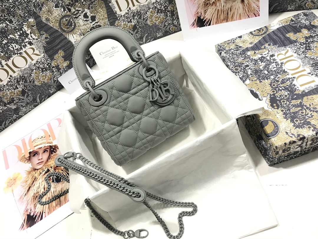 D10r Lady Bag 17CM 001
