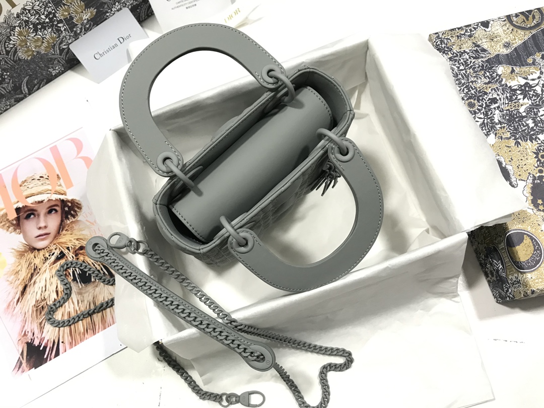 D10r Lady Bag 17CM 001