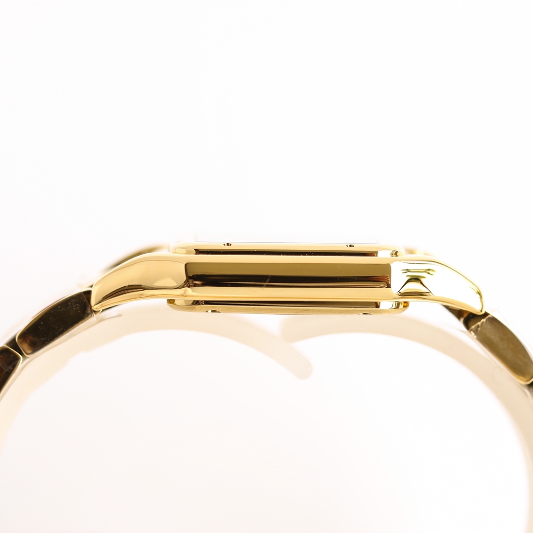 Ca*t1er Watch
