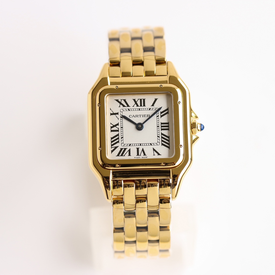 Ca*t1er Watch