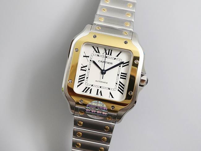 Ca*t1er Watch 02