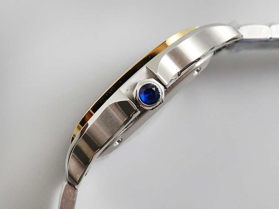 Ca*t1er Watch 02