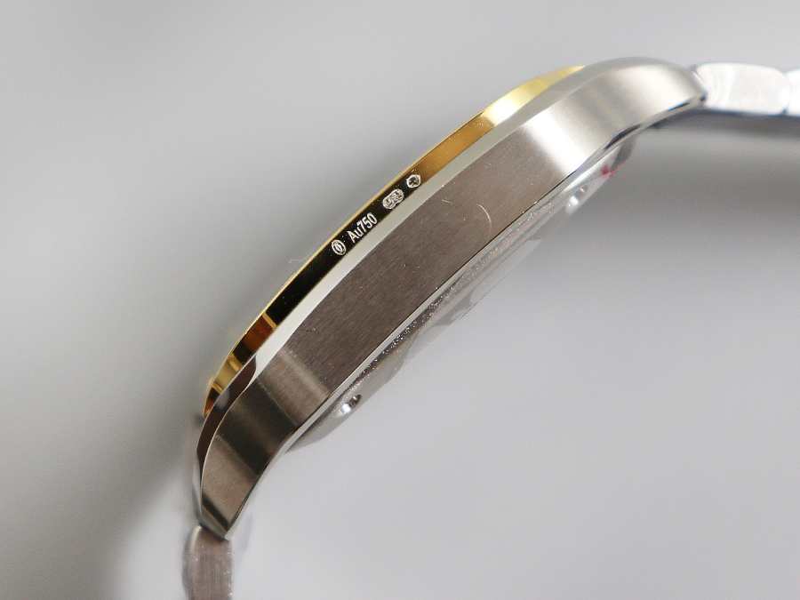 Ca*t1er Watch 02