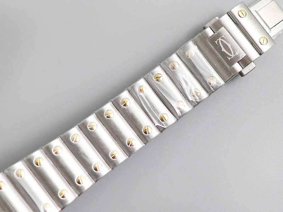 Ca*t1er Watch 02