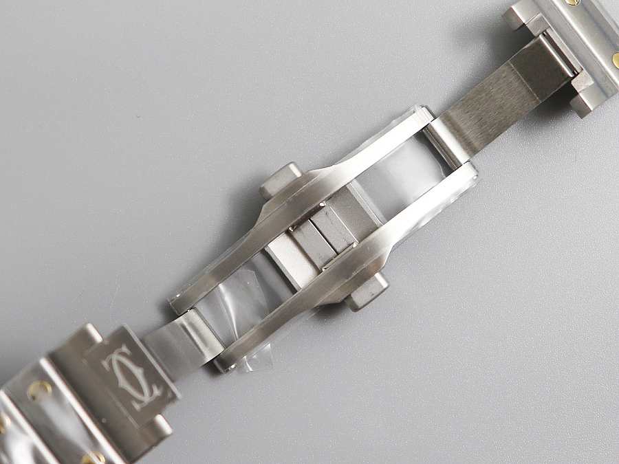 Ca*t1er Watch 02