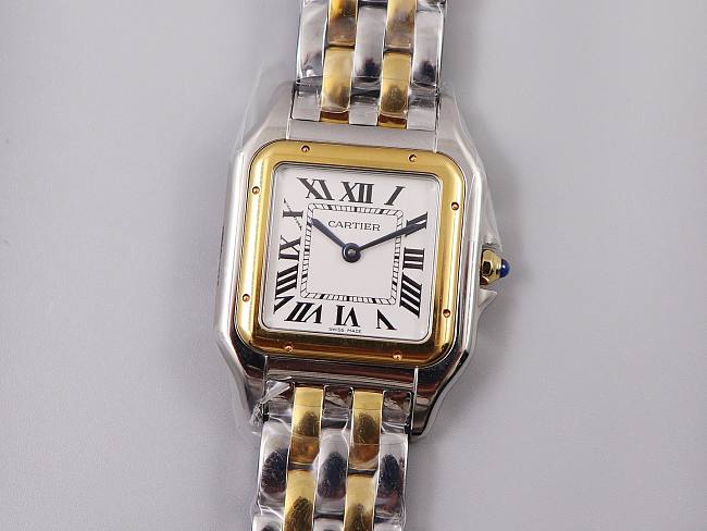 Ca*t1er Watch 03