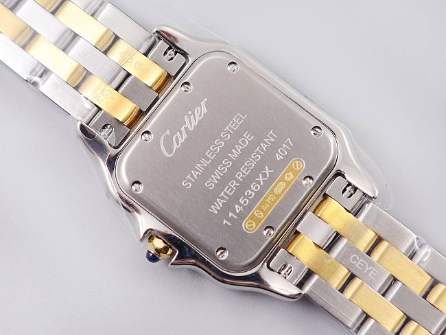 Ca*t1er Watch 03