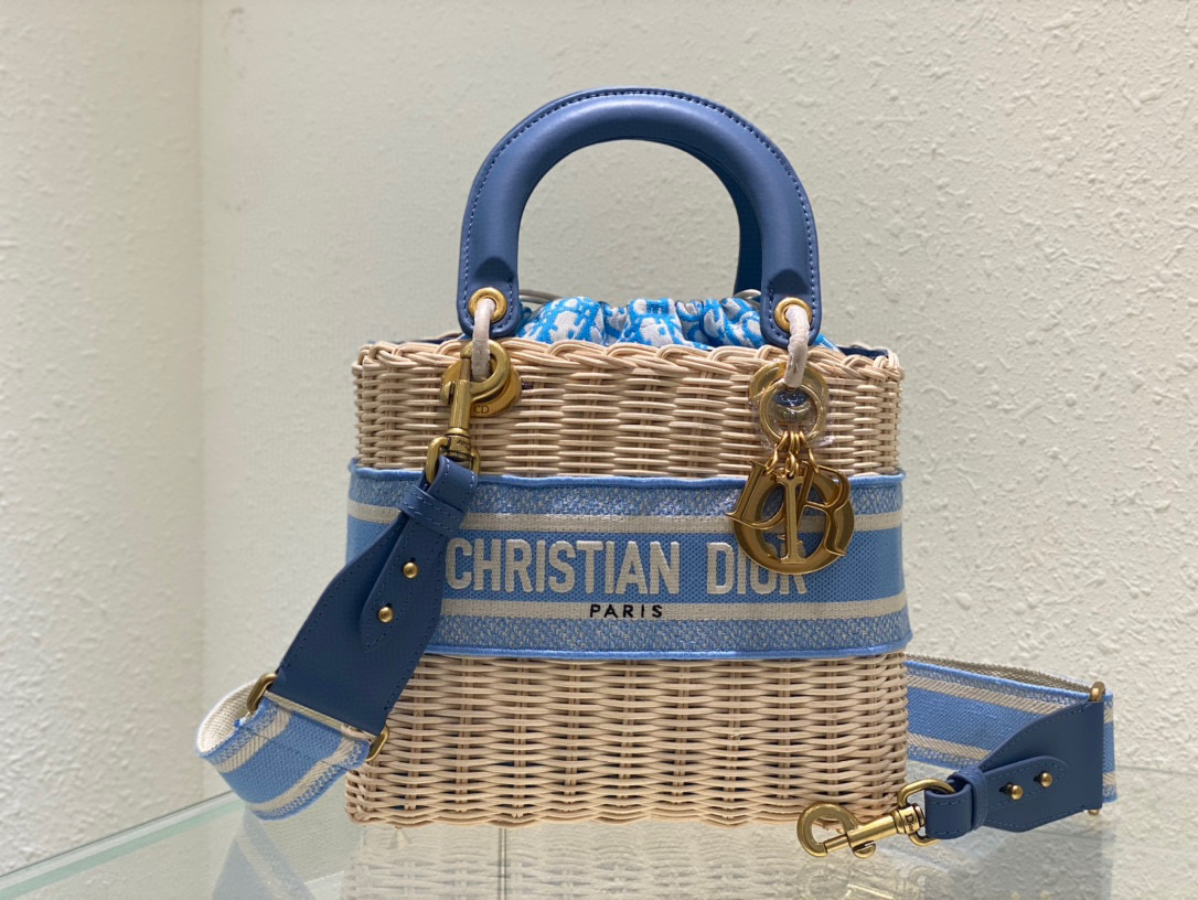 D10r Lady Oblique Bag 24cm 02
