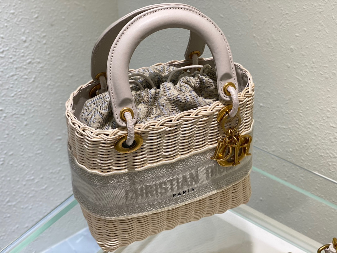 D10r Lady Oblique Bag 24cm 03