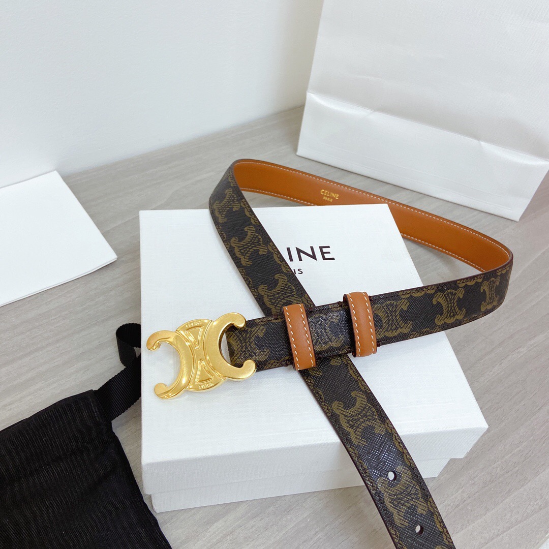 Ce1i*e Belt 02