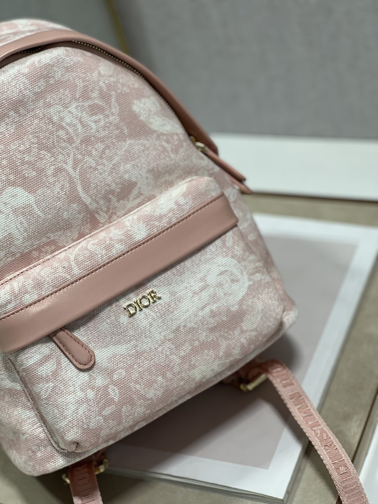 D10r Backack Pink