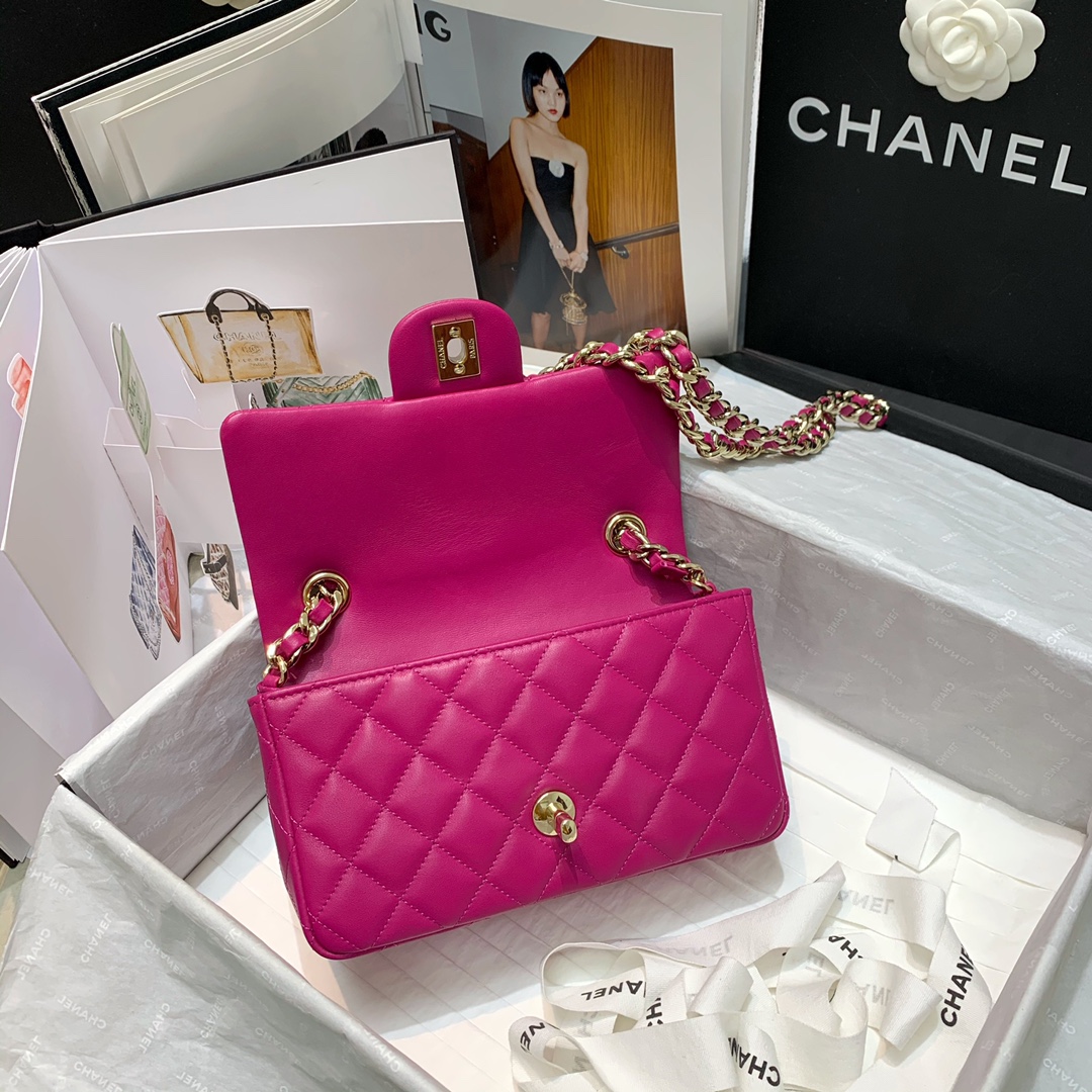 Bagsaaa Ch**el Charm Flap Bag Pink - 20cm