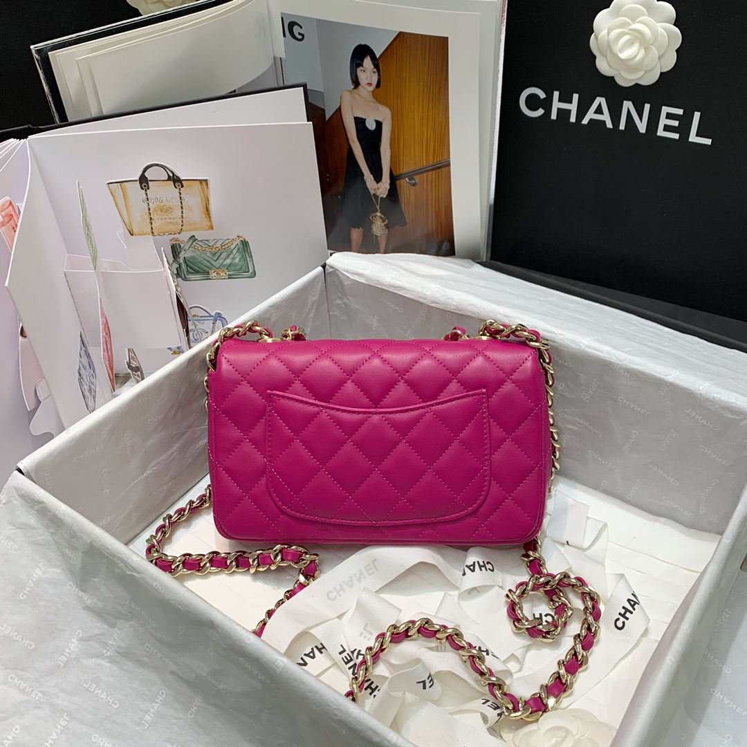 Bagsaaa Ch**el Charm Flap Bag Pink - 20cm