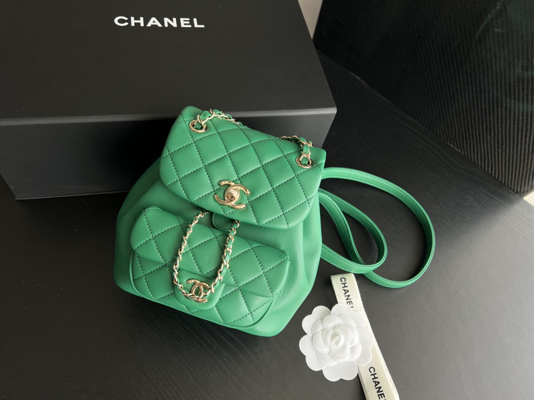 Bagsaaa Ch**el Duma Backpack Green Lambskin - 18x18x12cm