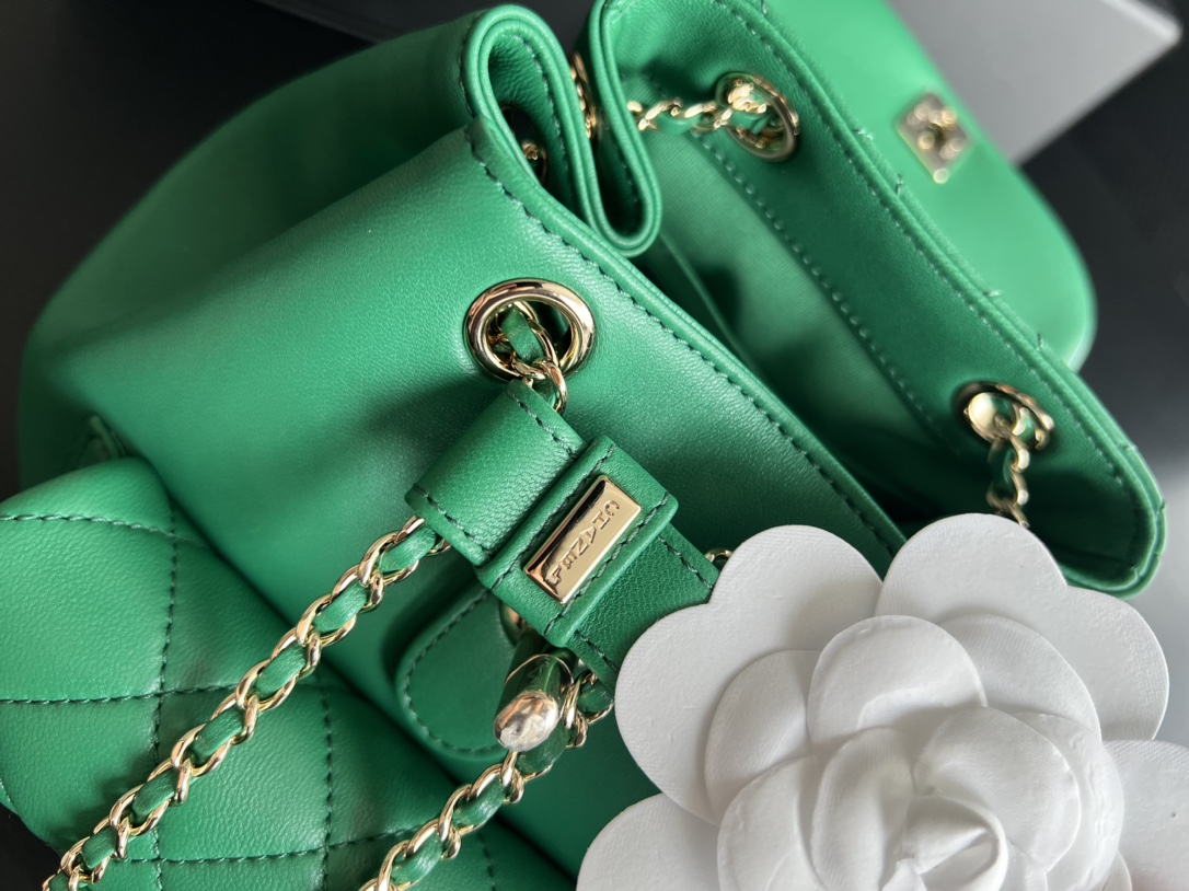 Bagsaaa Ch**el Duma Backpack Green Lambskin - 18x18x12cm