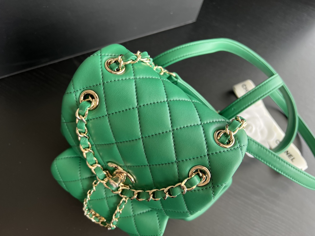 Bagsaaa Ch**el Duma Backpack Green Lambskin - 18x18x12cm
