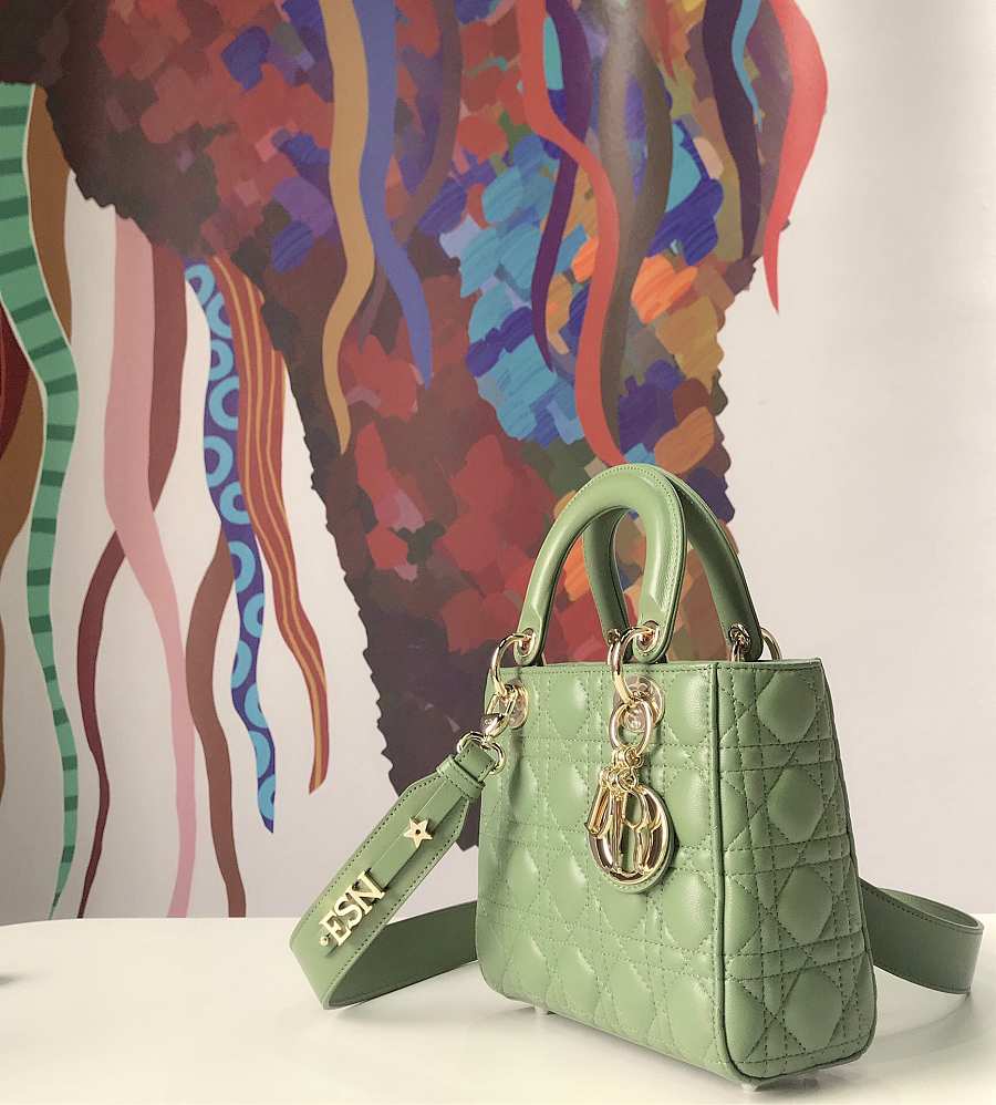 Bagsaaa D10r Lady Small Green Lambskin Leather - 20 x 17 x 8 cm