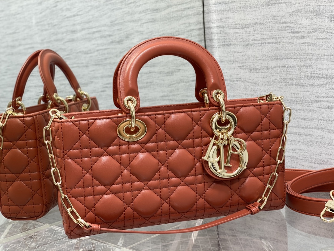 Bagsaaa D10r Lady D - Joy Medium Rusted Colored Bag - 26 x 13.5 x 5 cm