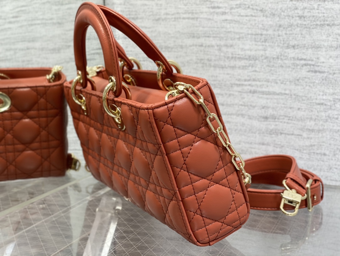 Bagsaaa D10r Lady D - Joy Medium Rusted Colored Bag - 26 x 13.5 x 5 cm