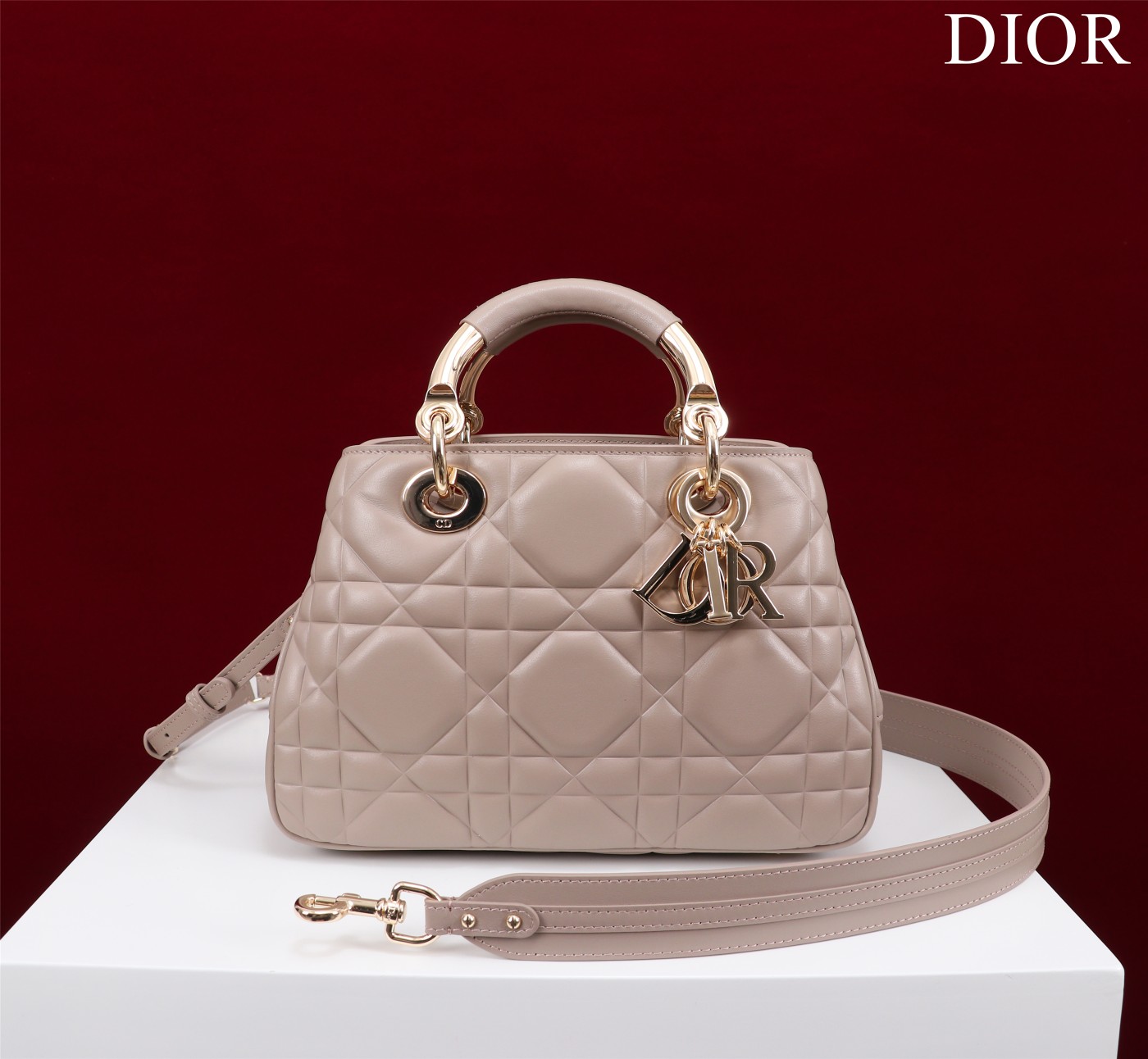 Bagsaaa D10r Lady 95.22 Nude Bag Gold Hardware - 30×19×12cm