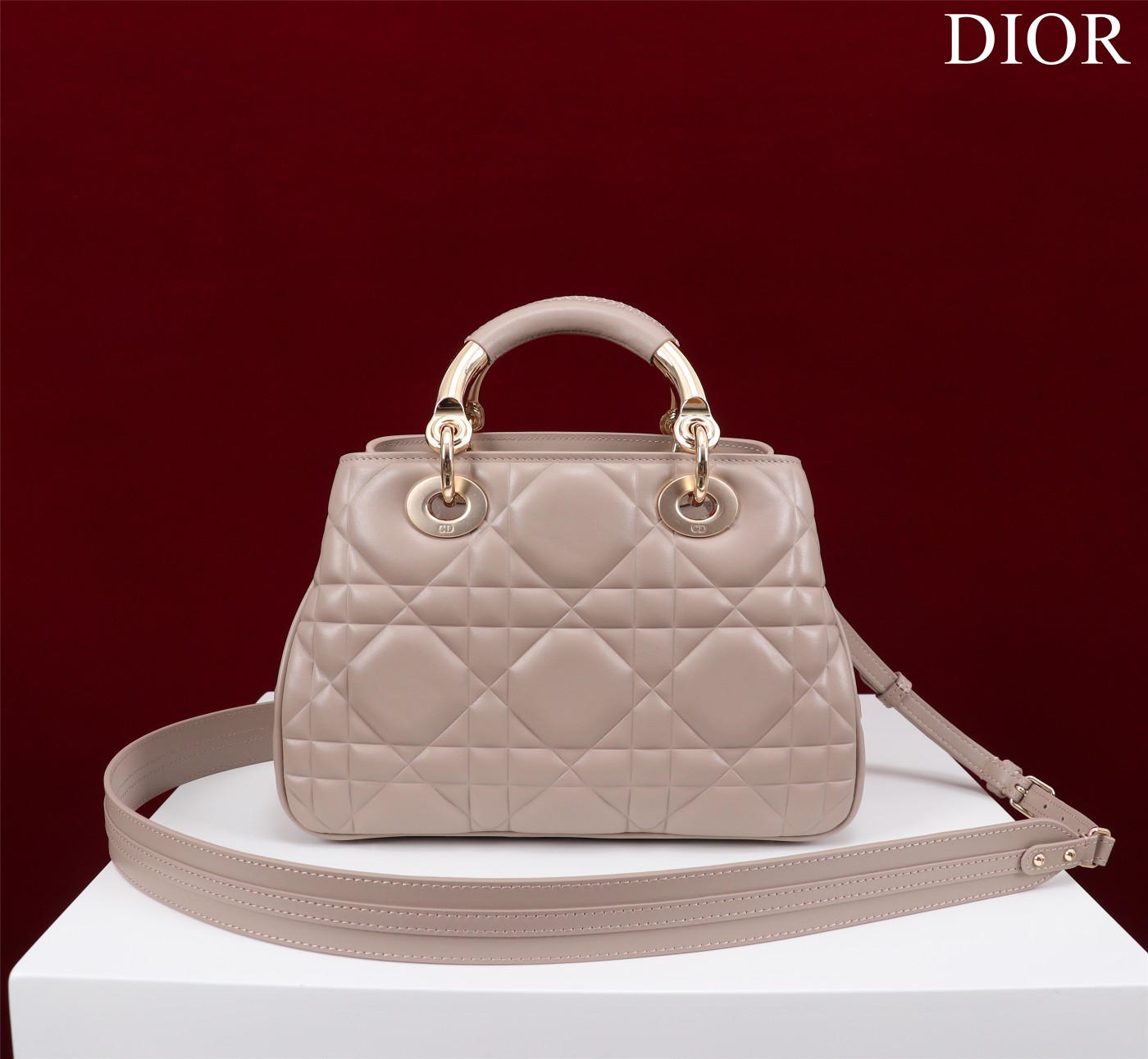 Bagsaaa D10r Lady 95.22 Nude Bag Gold Hardware - 30×19×12cm