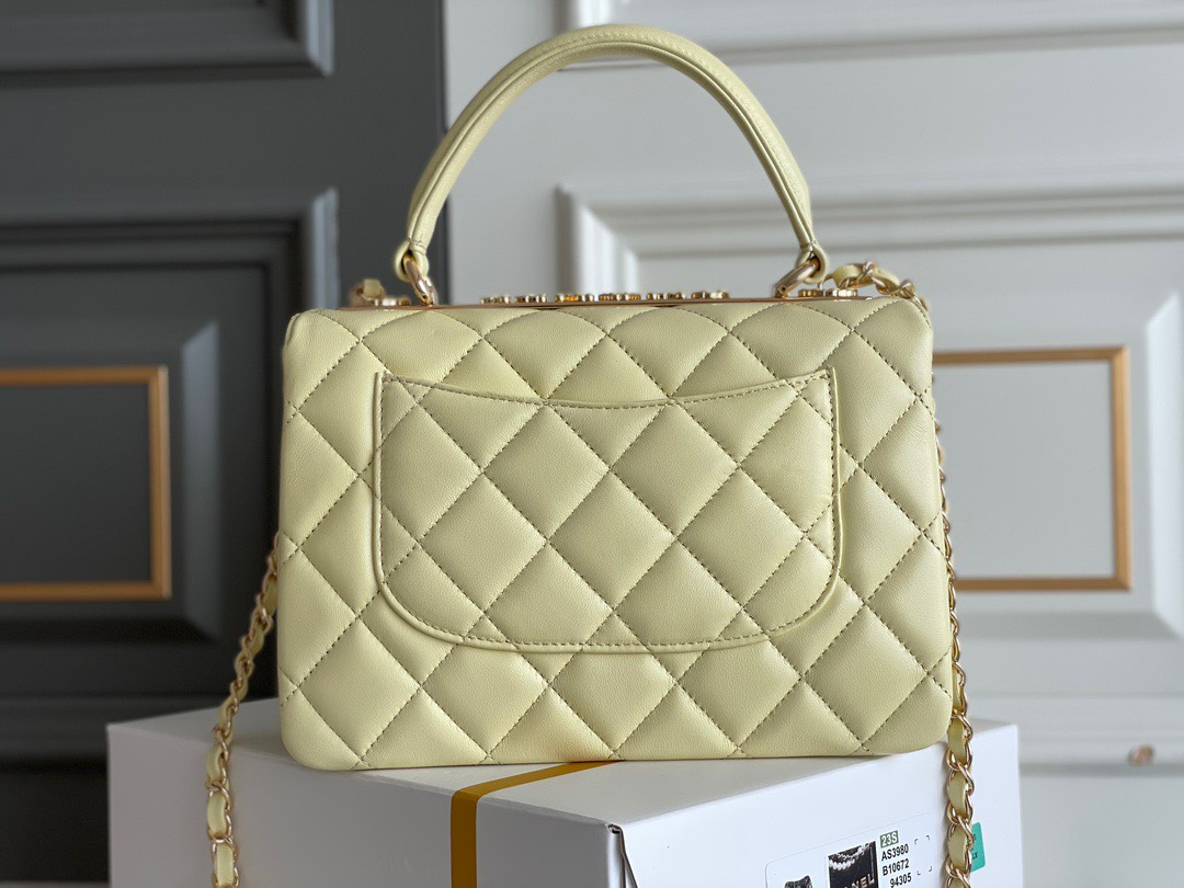 Bagsaaa Ch**el Trendy CCYellow Bag - 25cm