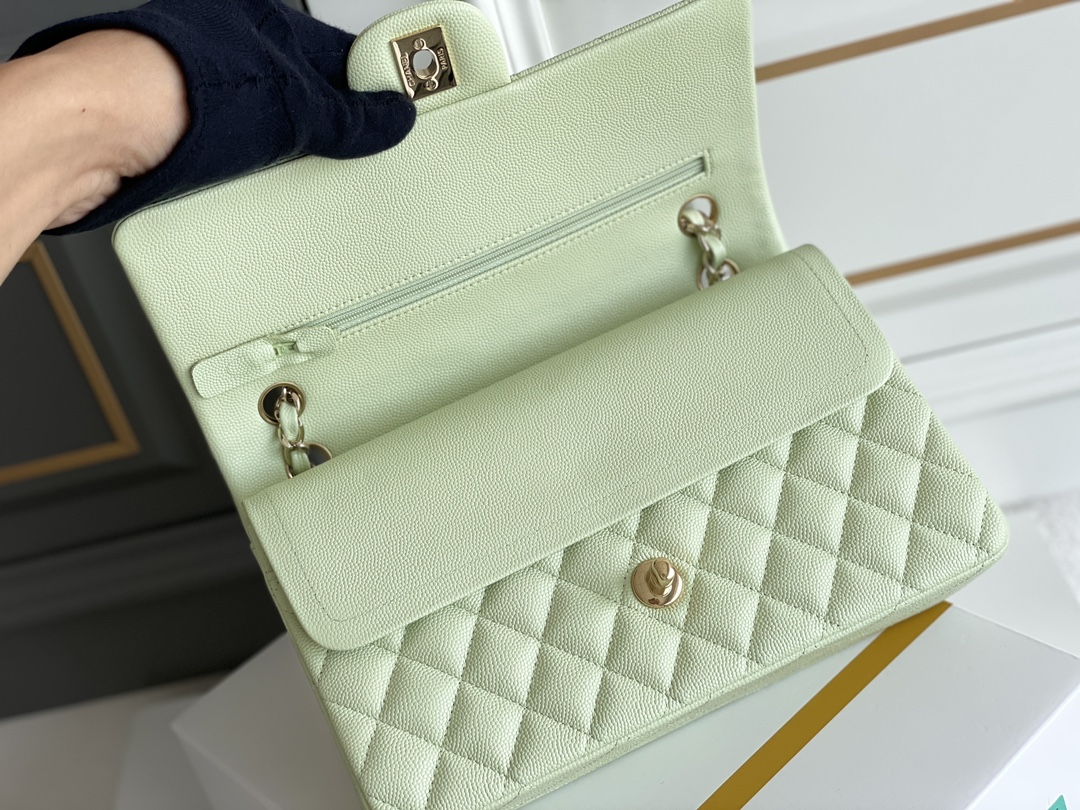 Bagsaaa Ch**el Classic Flap Small Bag in Light Green - 25cm