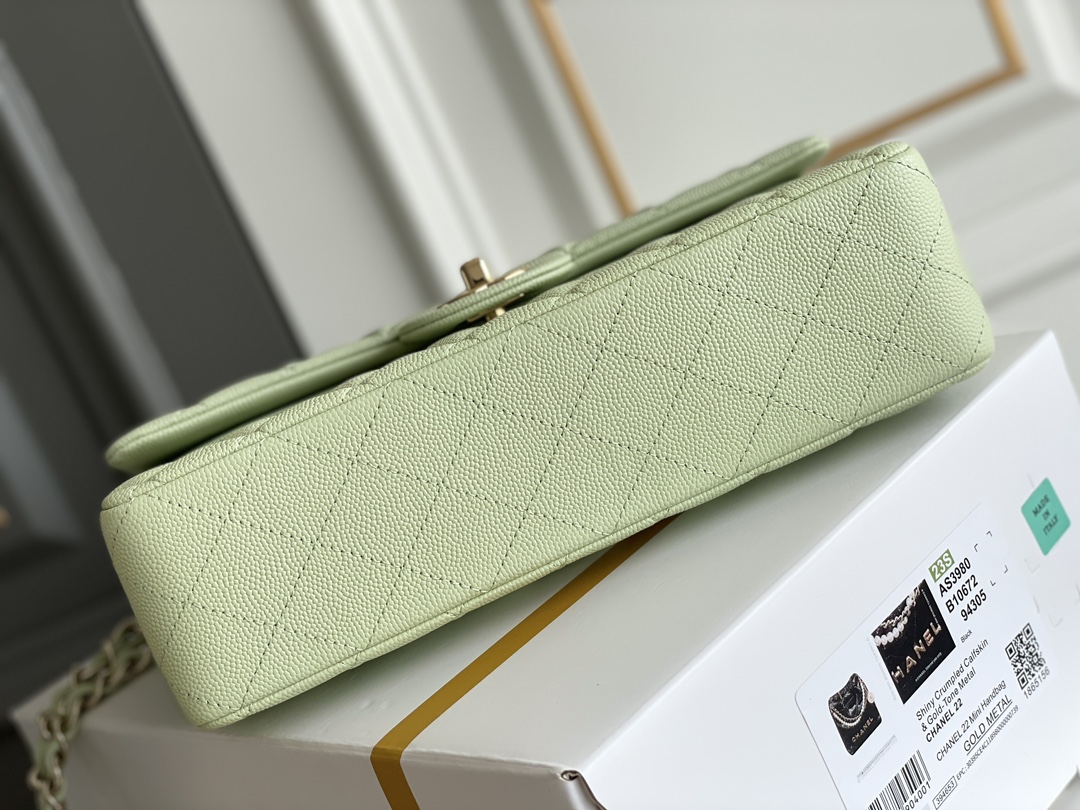 Bagsaaa Ch**el Classic Flap Small Bag in Light Green - 25cm