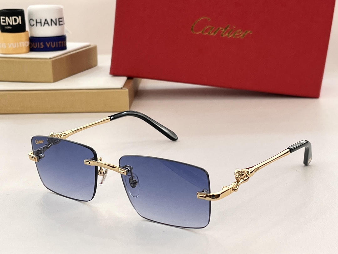 Bagsaaa Ca*t1er Sunglasses (6 colors)