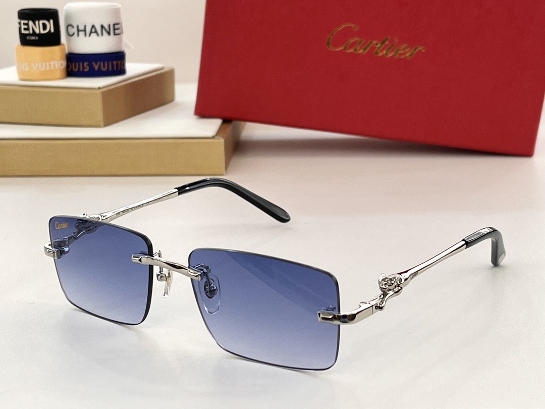 Bagsaaa Ca*t1er Sunglasses (6 colors)