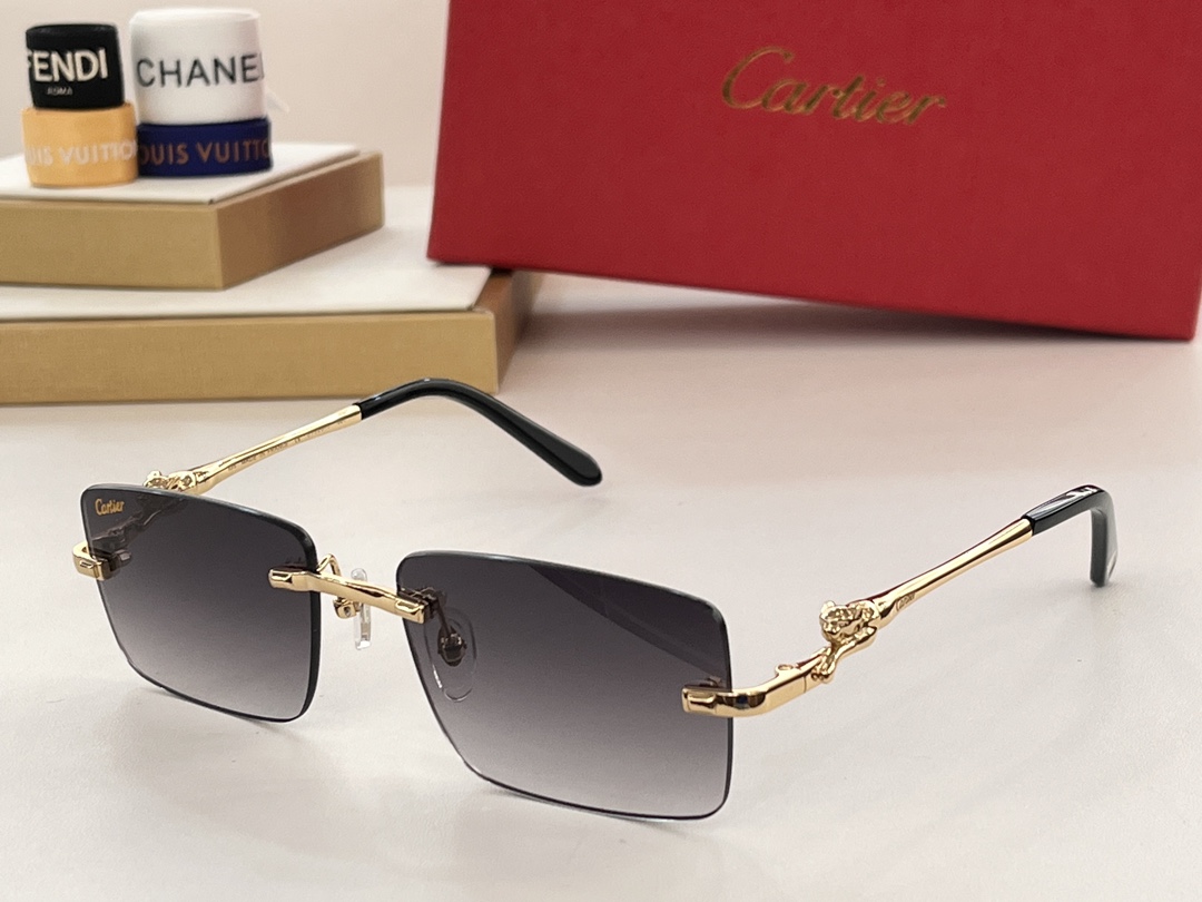 Bagsaaa Ca*t1er Sunglasses (6 colors)
