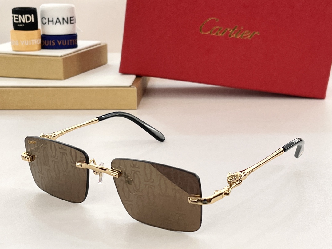 Bagsaaa Ca*t1er Sunglasses (6 colors)