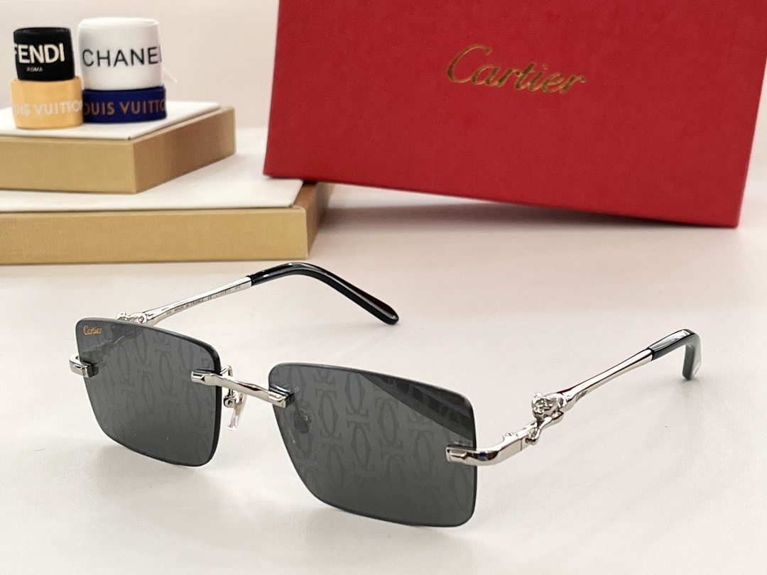 Bagsaaa Ca*t1er Sunglasses (6 colors)