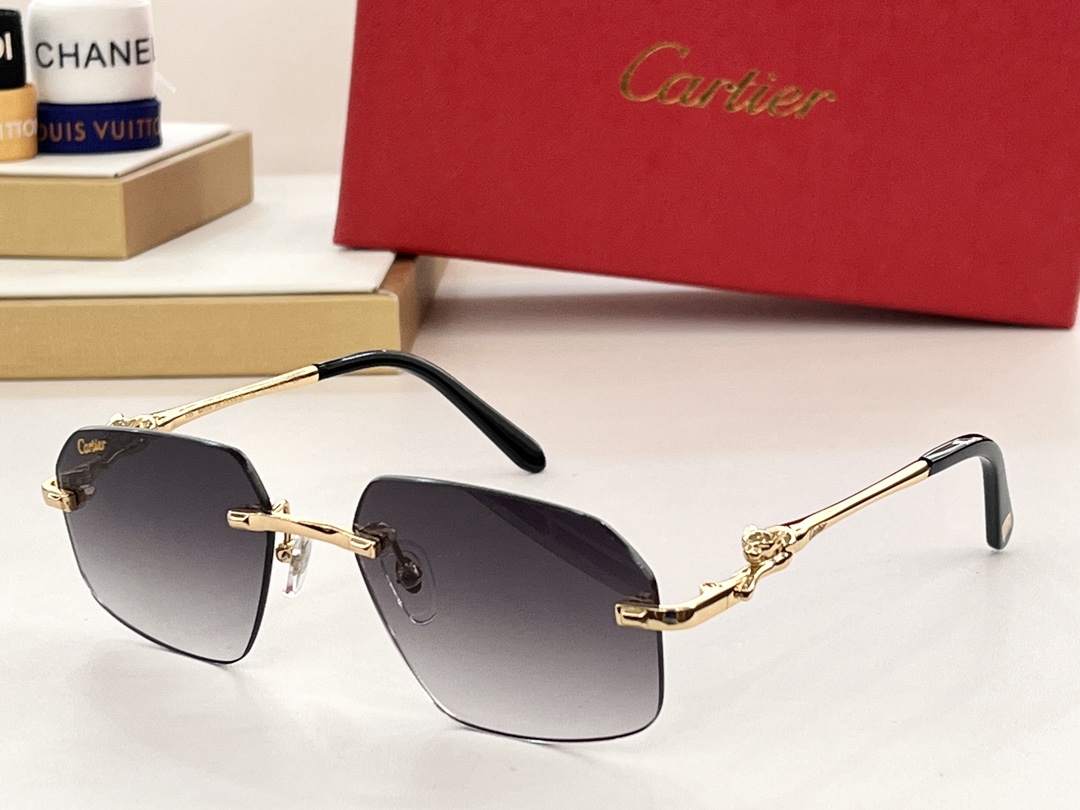 Bagsaaa Ca*t1er Sunglasses CT0281O
