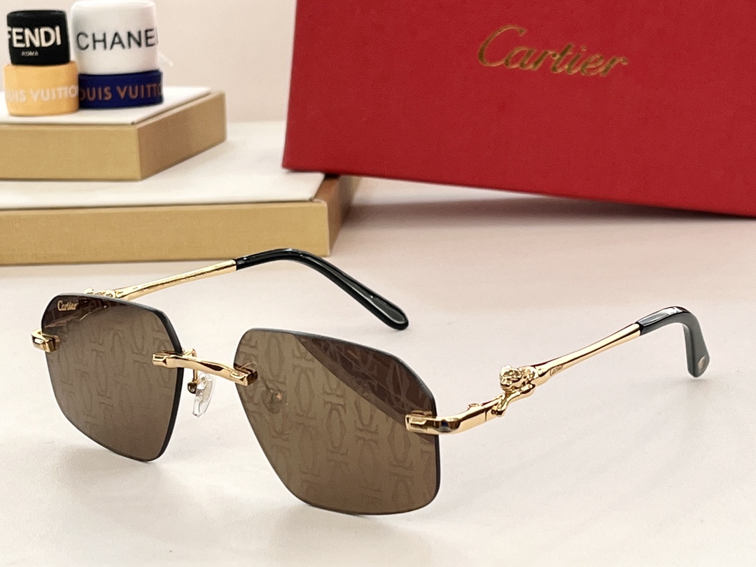 Bagsaaa Ca*t1er Sunglasses CT0281O