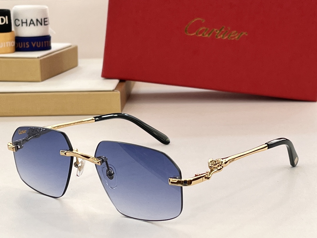 Bagsaaa Ca*t1er Sunglasses CT0281O
