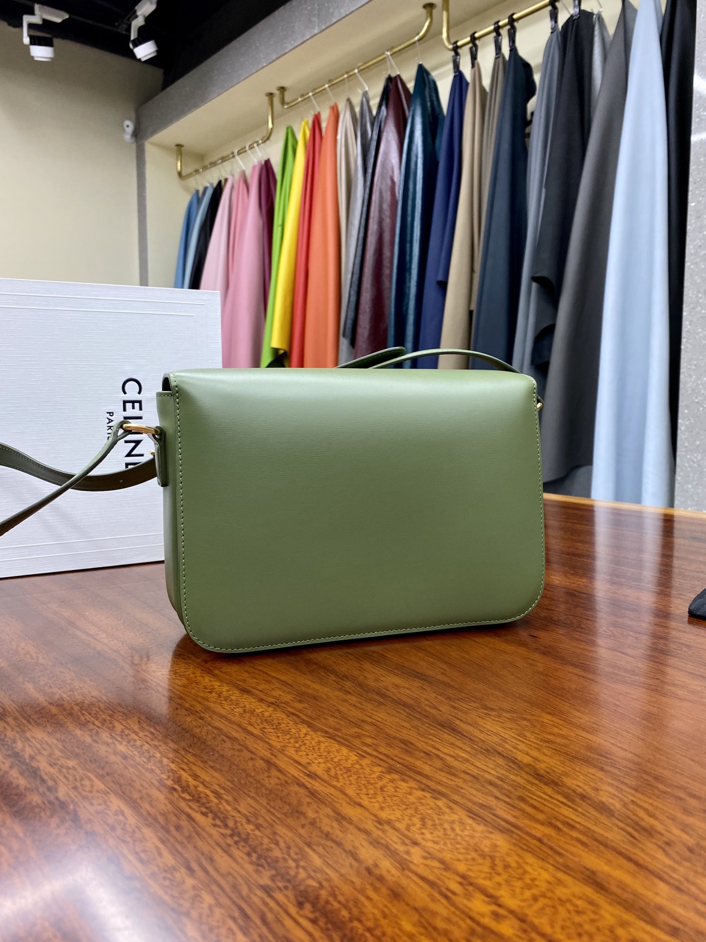 Bagsaaa Ce1i*e Classique Triomphe In shiny Calfskin Leather Green - 22.5 X 16.5 X 7.5 cm