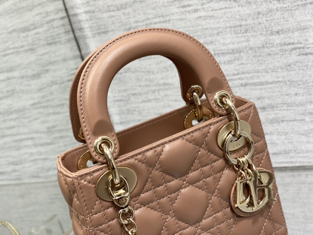 D10r Lady Bag 17cm