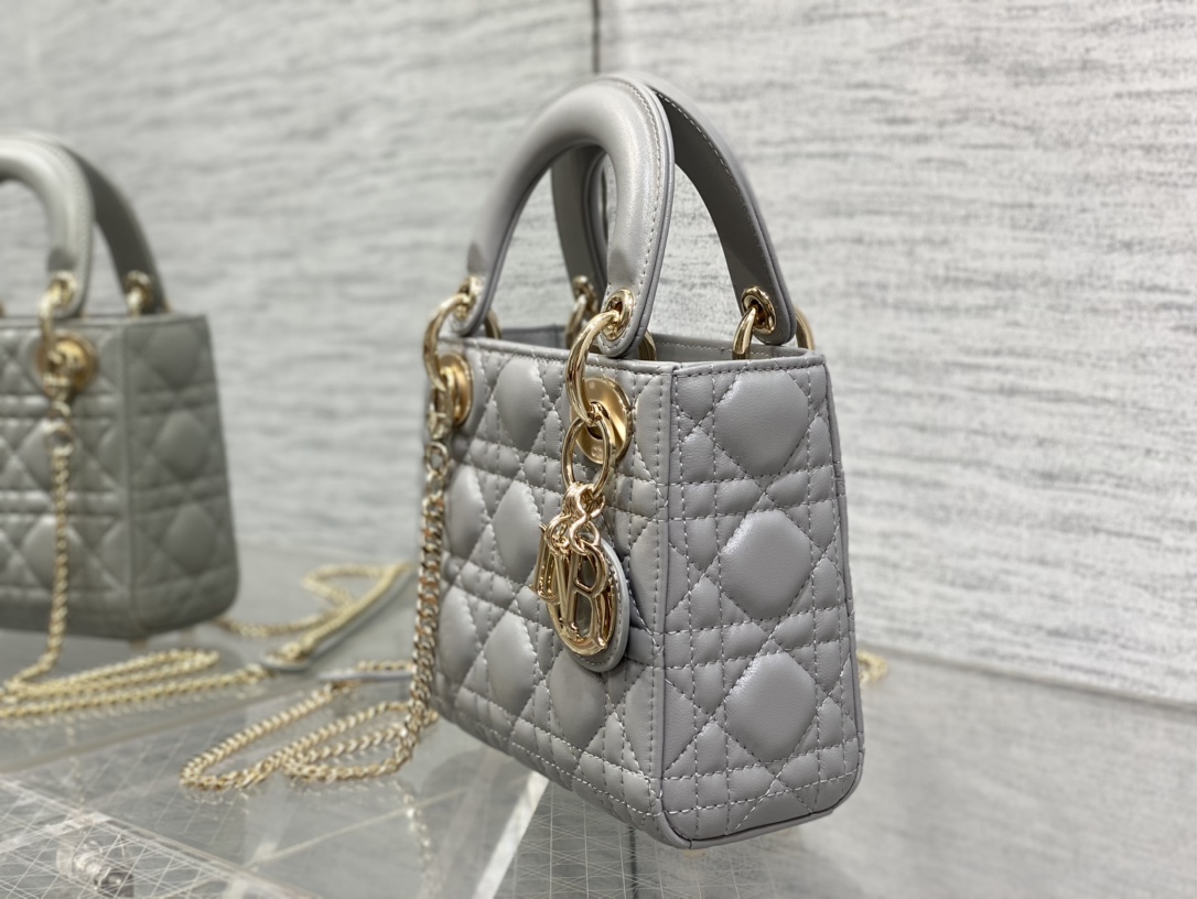 Bagsaaa D10r Lady Mini Grey Bag 17cm