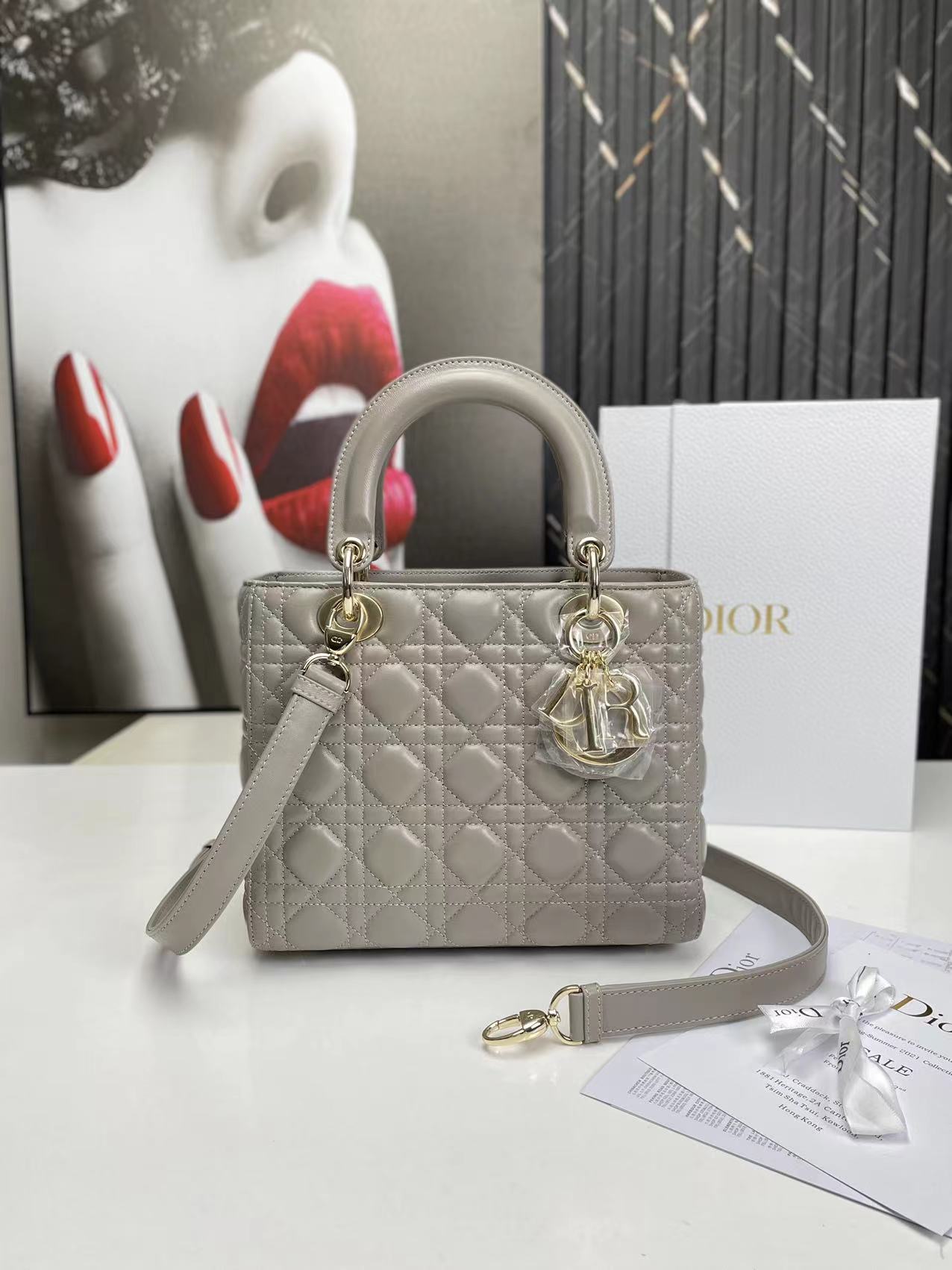 Bagsaaa D10r Lady Medium Grey Bag 24cm