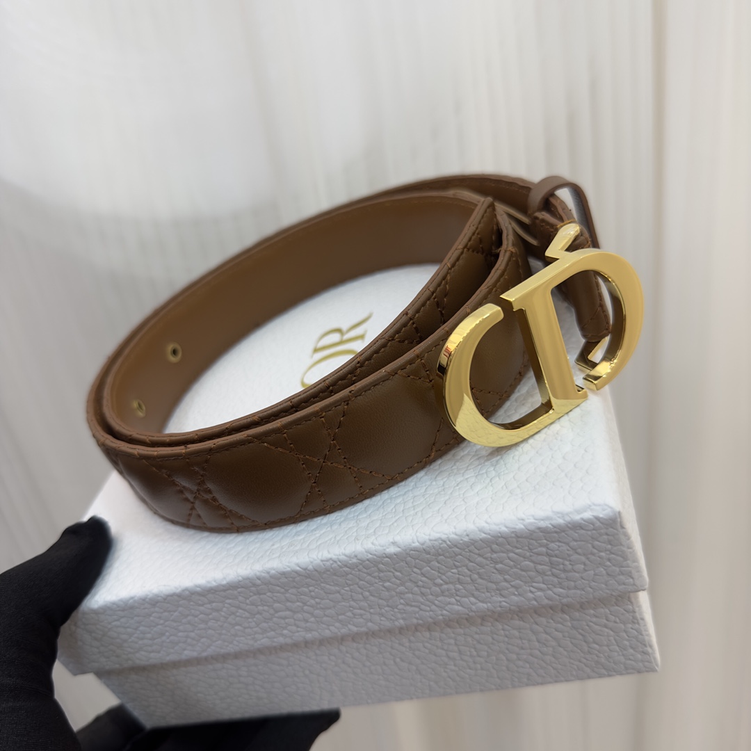 Bagsaaa D10r 30 Montaigne Brown3cm