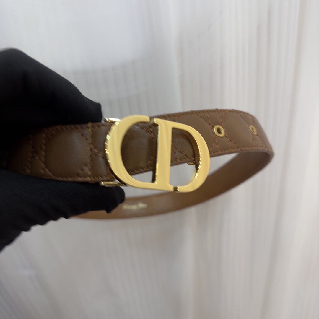 Bagsaaa D10r 30 Montaigne Brown3cm
