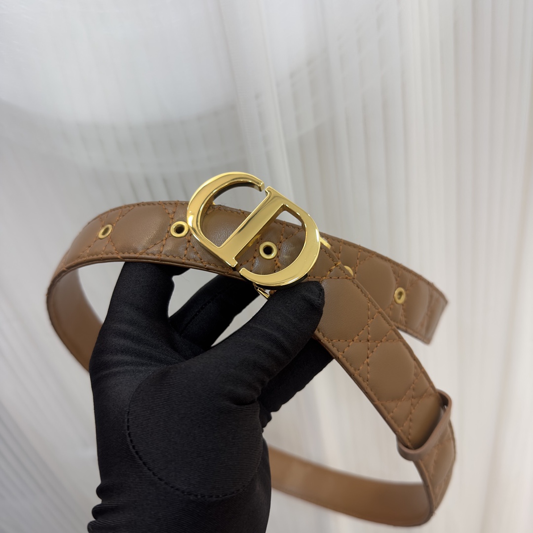 Bagsaaa D10r 30 Montaigne Brown3cm