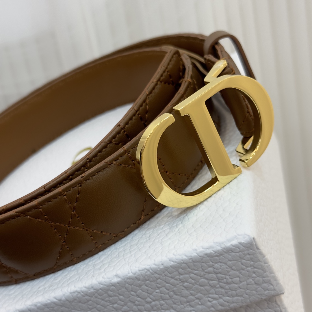 Bagsaaa D10r 30 Montaigne Brown3cm
