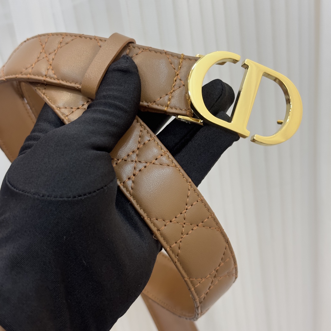 Bagsaaa D10r 30 Montaigne Brown3cm