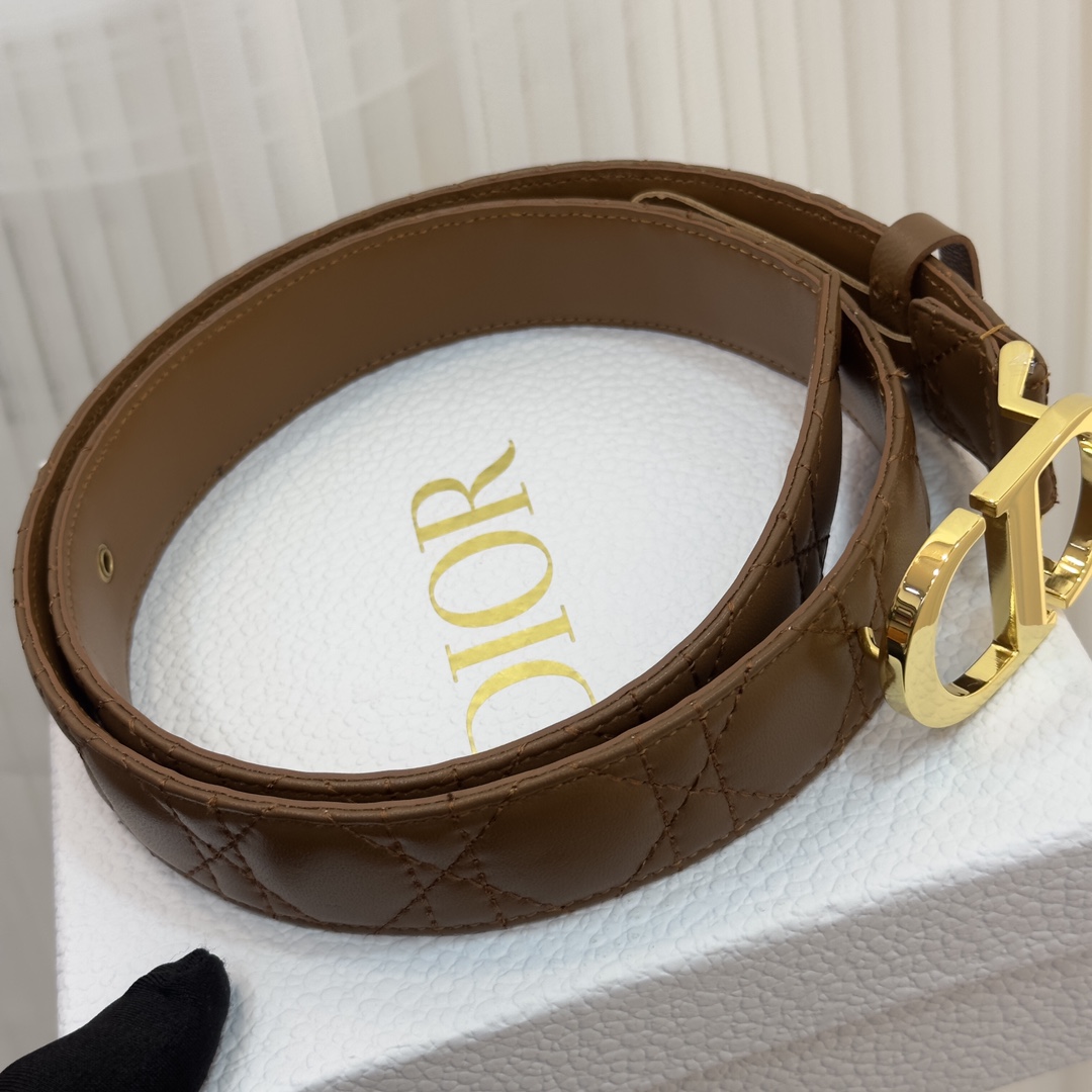 Bagsaaa D10r 30 Montaigne Brown3cm