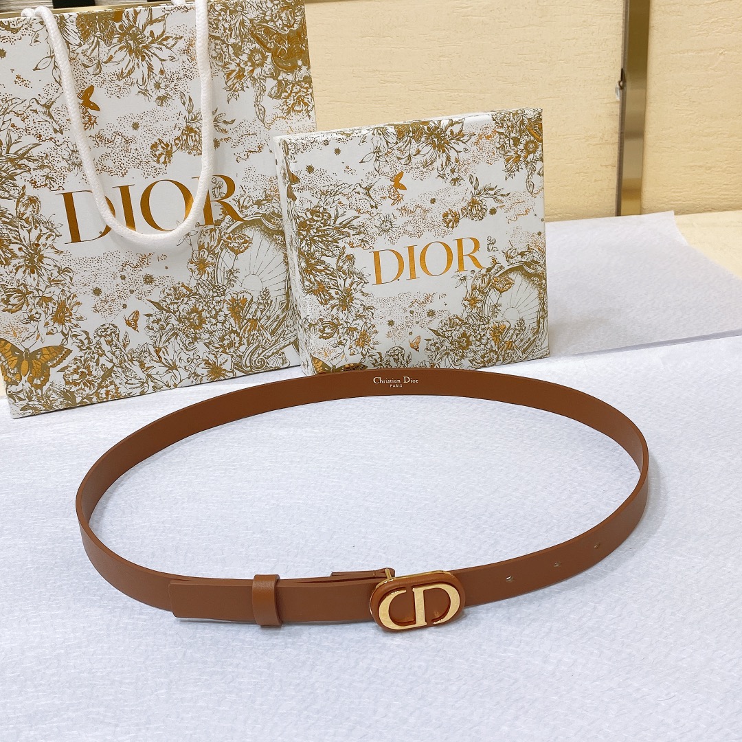 Bagsaaa D10r Montaigne CD Brown Belt 2cm