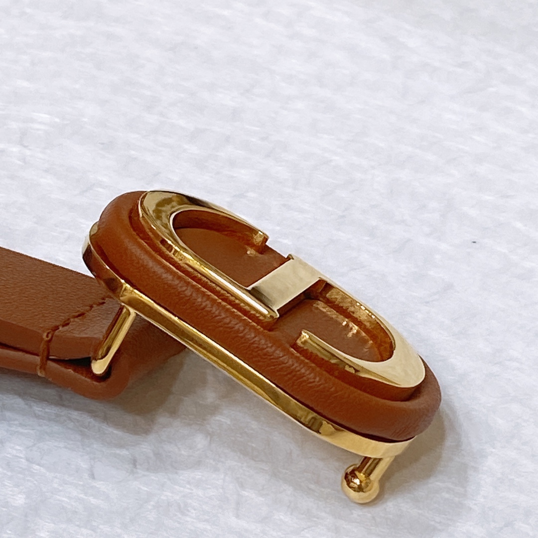 Bagsaaa D10r Montaigne CD Brown Belt 2cm